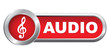 AUDIO ICON