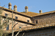 Castello Roccarespampani - Monte Romano - VT