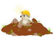 groundhog day