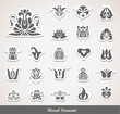 Floral Decoration Elements Floral Decoration Elements