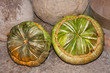Calabazas grandes para halloween