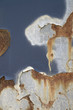abstract corrosion detail