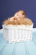 Photo: Newborn Baby in Basket Newborn Baby in Basket