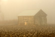 Old shed