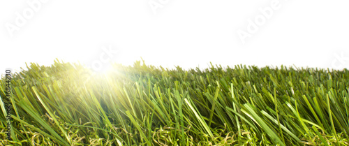 Photo: patch of artificial grass with sunlight shining through patch of artificial grass with sunlight shining through