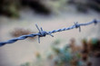 barbed wire