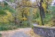 Autumn path