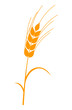 Spiga di grano