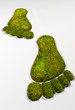 Grass eco footprints Grass eco footprints