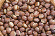 castagne