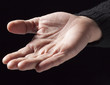 donner demander apporter