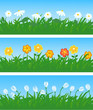 spring  flowers