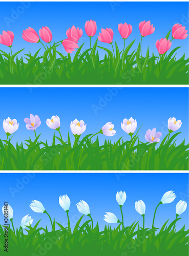 Illustration: spring flowers spring flowers