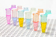 PCR microtubes PCR microtubes