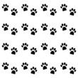Background with black paw prints