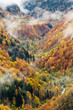 autumn valley landscape