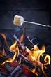 Roasting Marshmallow