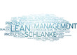 Lean Management