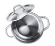 Stainless steel pot