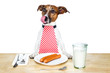 Dog at table