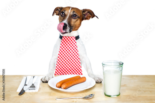 Photo: Dog at table Dog at table