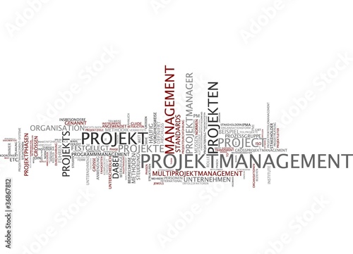 Illustration: Projektmanagement Projektmanagement