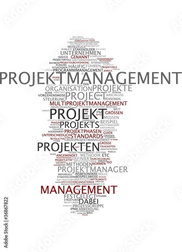 Illustration: Projektmanagement Projektmanagement