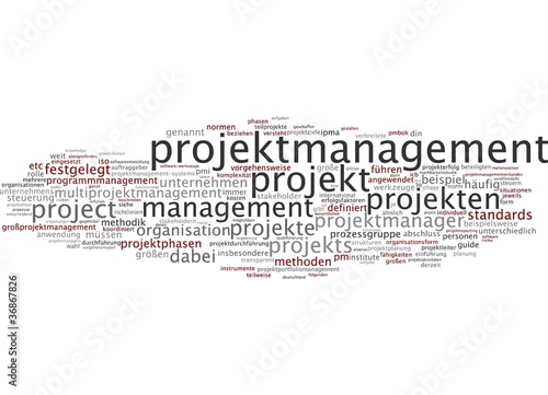 Illustration: Projektmanagement Projektmanagement