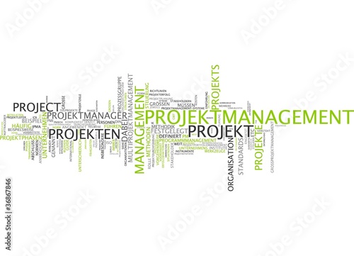 Illustration: Projektmanagement Projektmanagement