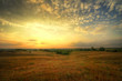 Warming-Lands-II