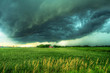 Foto: Shelfing-Out Shelfing-Out