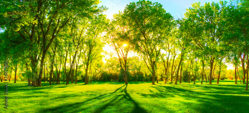 Photo: Springtime-Warmth-II Springtime-Warmth-II