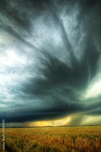 Photo: Striations-Overhead Striations-Overhead