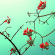 Photo: A-touch-of-red A-touch-of-red