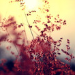 Memories-of-you