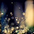 When-fairies-dance