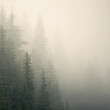 Photo: misty mountain weather 9 misty mountain weather 9