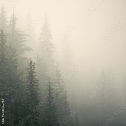 Photo: misty mountain weather 9 misty mountain weather 9