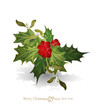 Vector: vector christmas background with sprig of European holly vector christmas background with sprig of European holly