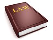brown law book on white