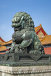 cooper lion