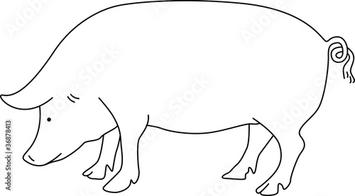 Vector: el cerdo el cerdo
