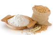 Flour and wheat grain
