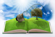 Photo: lampadina eco lampadina eco