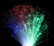 plastic optical fibers