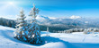 winter mountain panorama