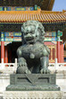 cooper lion