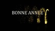 Bonne année 2012