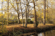 cottage