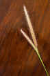 Grass blossom on wood background